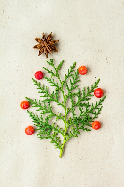Albero di Natale fatto di rami di thuja e decorazioni stella di anice e ashberry su fondo rustico.