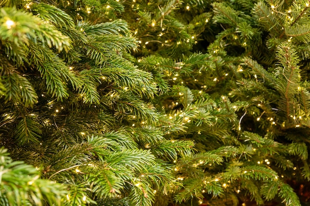 Albero di Natale festivo con decorazioni di capodanno ghirlanda