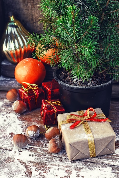 Albero di Natale in vaso