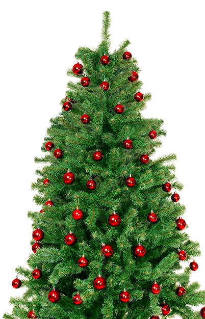 Albero di Natale isolato su sfondo bianco