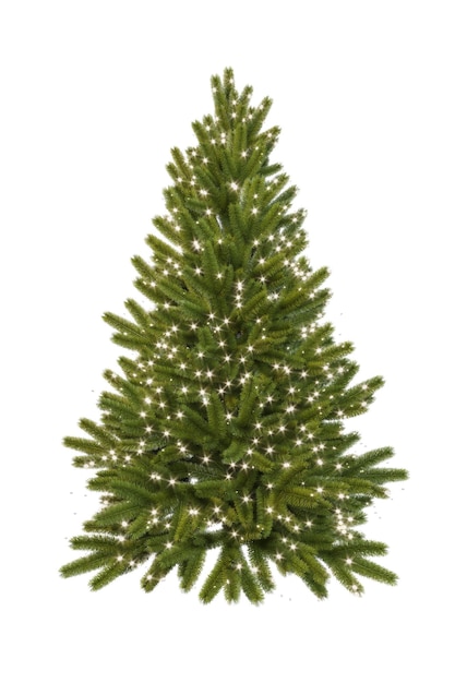 Albero di Natale isolato verde realistico su uno sfondo bianco trasparente, con piccole luci. 3D