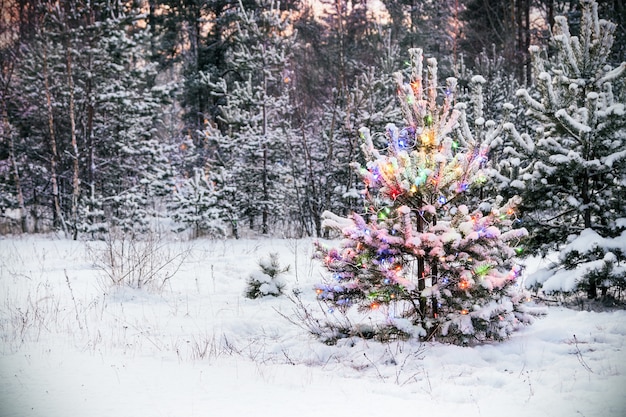 Albero di Natale nella foresta invernale con luci colorate