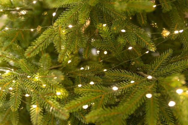 Albero di Natale sfocato luci sfocate sfondo dell'albero di Natale