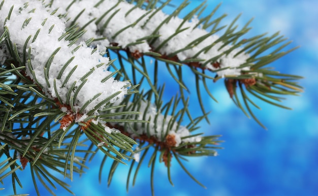 Albero di Natale verde su blu