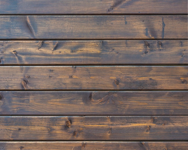 Albero di quercia in legno vicino sfondo texture