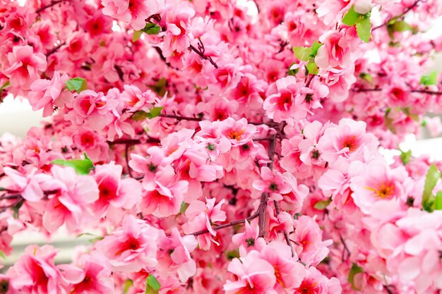 Albero di sakura in fiore con lussureggianti fiori rosa