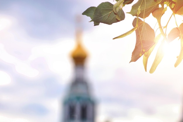 Albero di tramonto della cattedrale di primavera