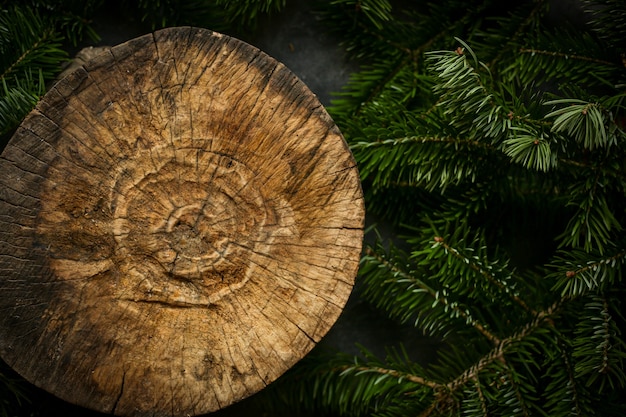 albero e rami di un albero di Natale