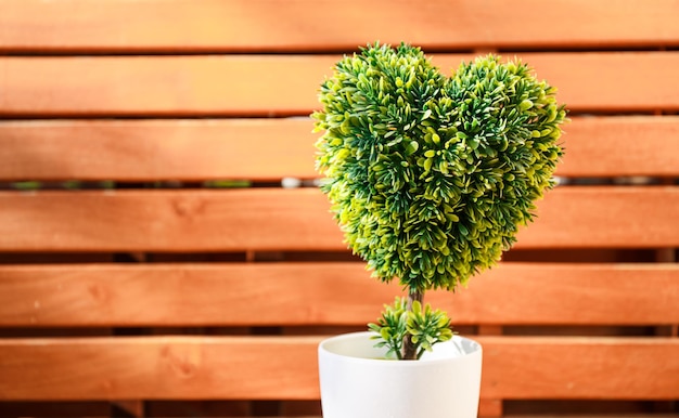 Albero in plastica a forma di cuore