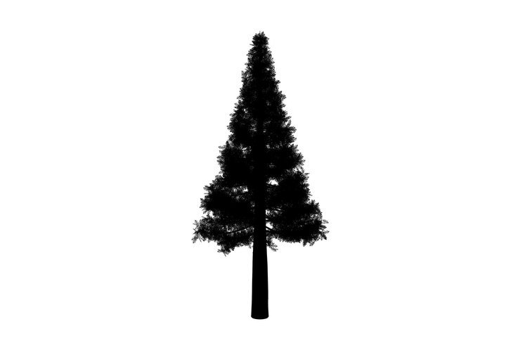 Foto albero sagoma botanico opere d'arte di forma di legno stagionale arte