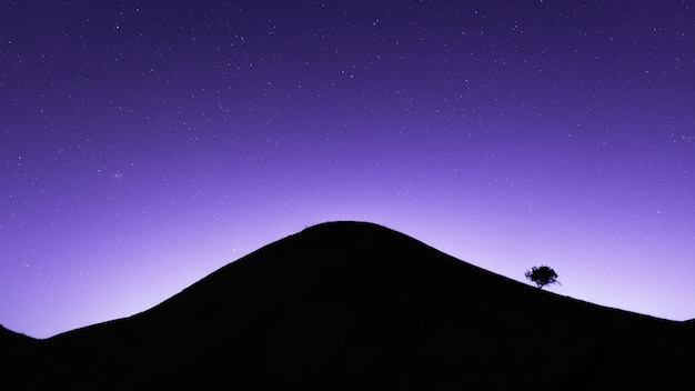 Albero solitario sulla montagna di notte