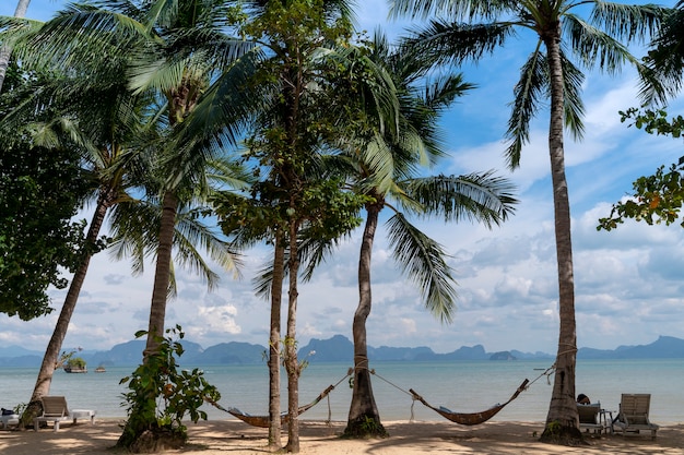 Albero sulla spiaggia di sabbia sull'isola con cielo blu nuvoloso, relax e tranquillità, Koh Yao Noi a Phangnga