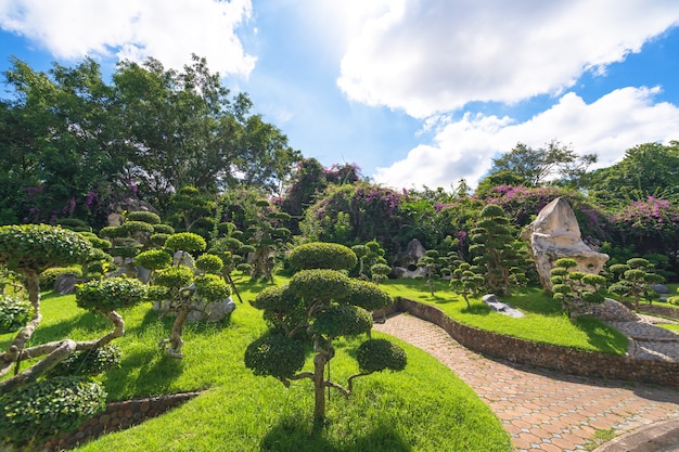 Albero verde nel bellissimo giardino con cielo blu