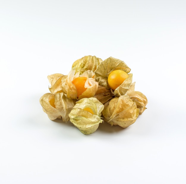 Alchechengio (physalis) isolato su sfondo bianco.