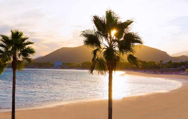 Alcudia Maiorca al tramonto sulla spiaggia Mallorca