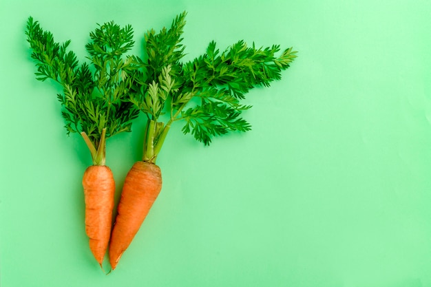 Alcune carote fresche