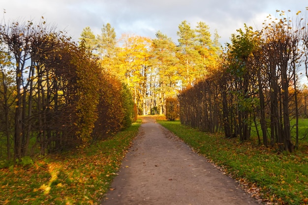 Alexander Park in autunno in ottobre Sfondo