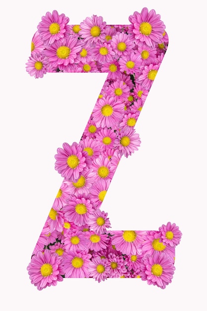 Alfabeto artistico della lettera Z con fiori di crisantemo rosa