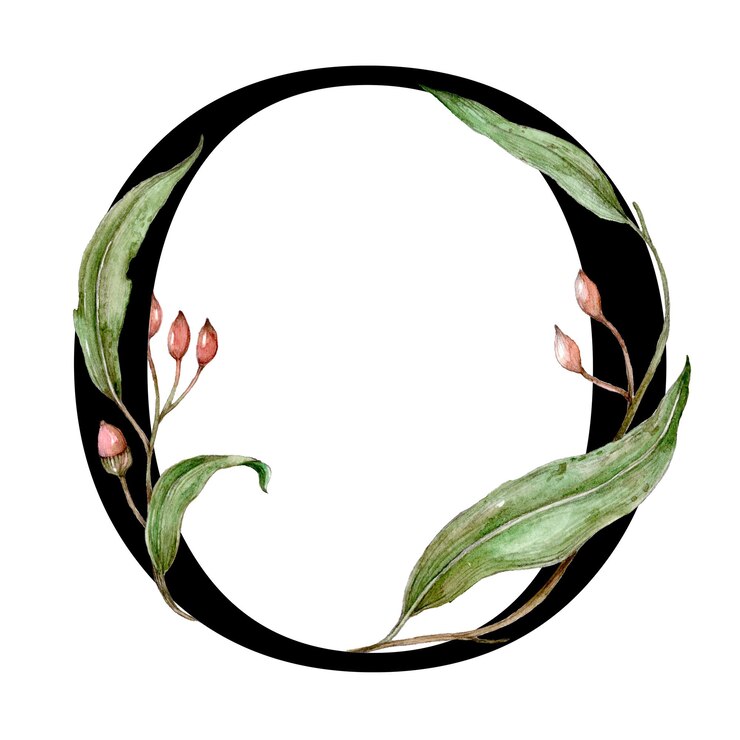 Foto alfabeto png o carattere adesivo tipografia floreale