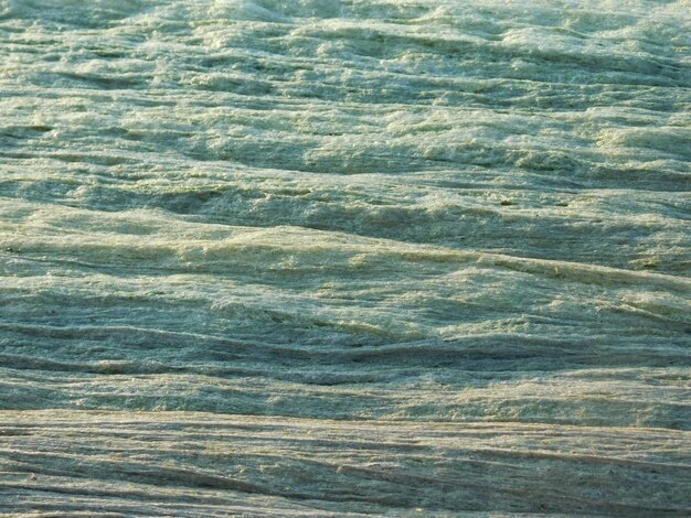 Alghe bluverdi e schiuma sulla superficie dell'acqua