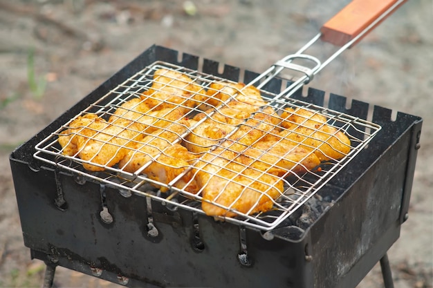 Ali di pollo alla griglia con spezie alla griglia cotte sul barbecue a fuoco