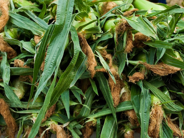 Alimenti biologici freschi al mercato degli agricoltori locali. I mercati degli agricoltori sono un modo tradizionale di vendere prodotti agricoli.