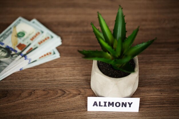 Alimenti scritto su carta bianca