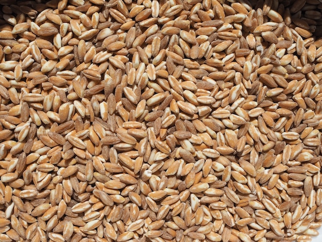 Alimento ai cereali di farro