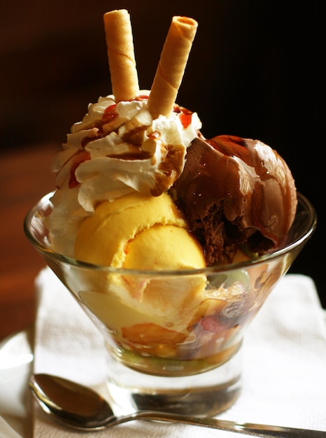 Alimento gourmet del gelato