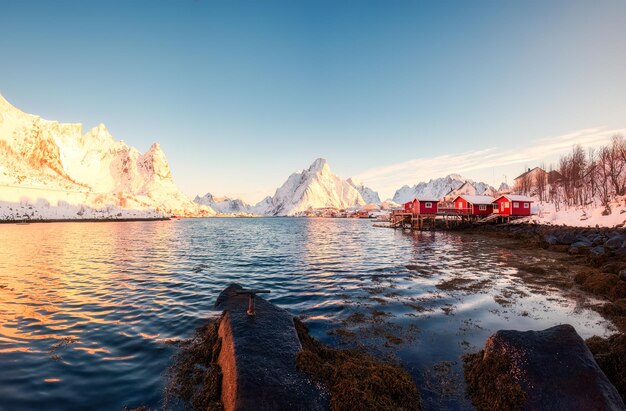 All'alba su Reine, città di un villaggio di pescatori sulla costa e montagna innevata durante l'inverno alle isole Lofoten, in Norvegia