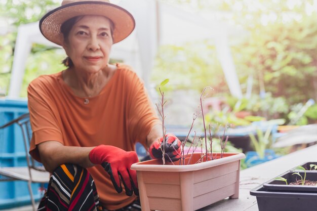 All'aperto in estate donna anziana che pianta fiori ed erbe