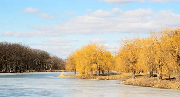 All'inizio della primavera sul lago con alberi di autunno