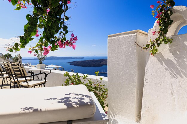 All'ombra di Bougainvillea