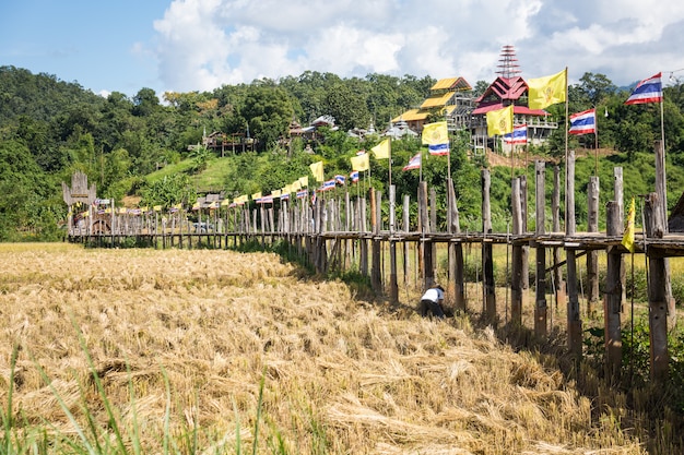 Alla scoperta della Tailandia