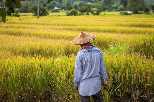 Alla scoperta della Tailandia