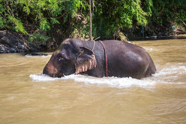 Alla scoperta della Tailandia