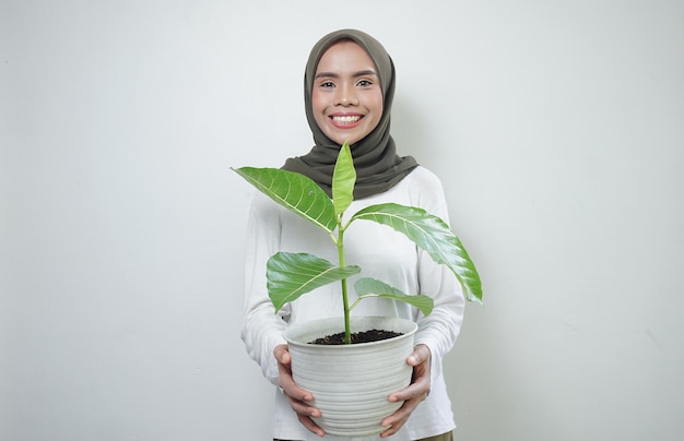 Allegra donna musulmana asiatica in maglietta e hijab che tiene pianta isolata su sfondo bianco