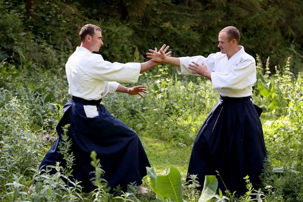 Allenamento di arti marziali Aikido