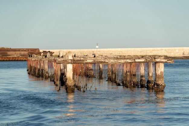 Allevamento di cozze a Chioggia Italia