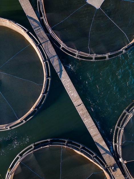 Allevamento di pesci di color salmone nella vista aerea del fiume