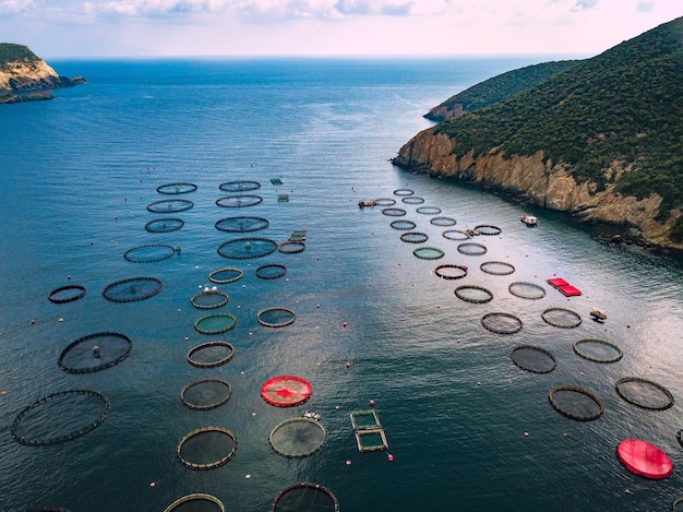 Allevamento di salmone con gabbie galleggianti in Grecia Vista aerea