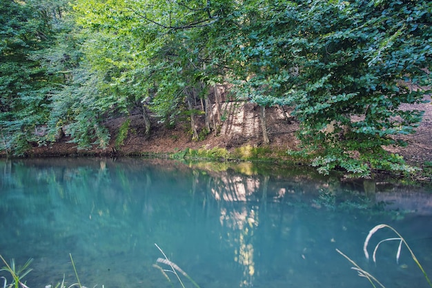 Allevamento ittico di trote sul lago in montagna