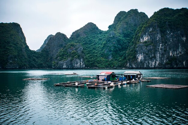 Allevamento ittico galleggiante nella baia di Ha Long, Vietnam. produzione di pesce e crostacei in mare.