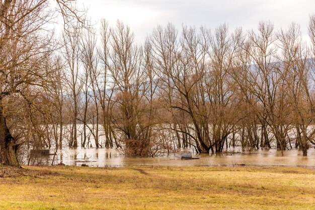 Alluvione sul fiume Danubio in primavera