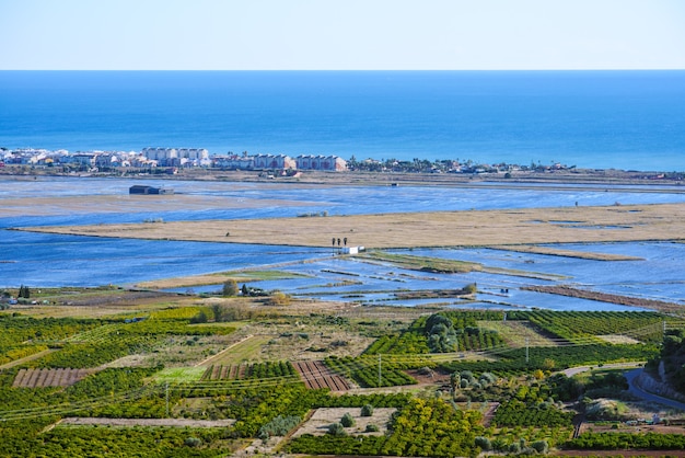 Almenara, Spagna. Vista panoramica. Campi di riso. Zone umide