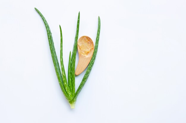 Aloe vera con gel di aloe vera sul cucchiaio di legno.