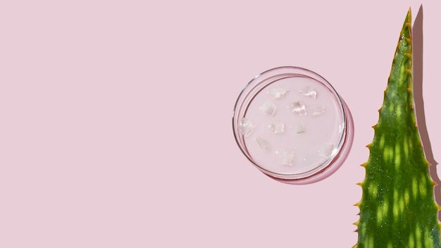 Aloe vera e ingredienti cosmetici piatti di aloe petri ricerca cosmetica crema di gel di succo di aloe a fette su sfondo rosa