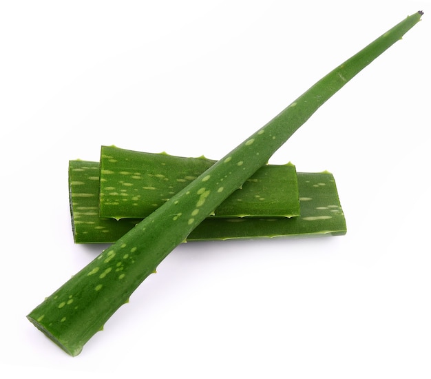 Aloe Vera isolato su sfondo bianco