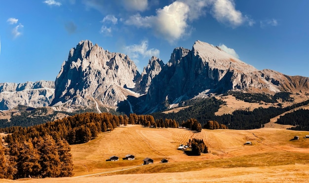 Alpe di Siusi Seiser Alm con il gruppo montuoso Sassolungo Langkofel Paesaggio maestoso di rosso alpino a