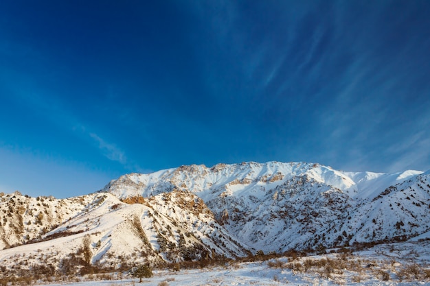 Alpi di montagna